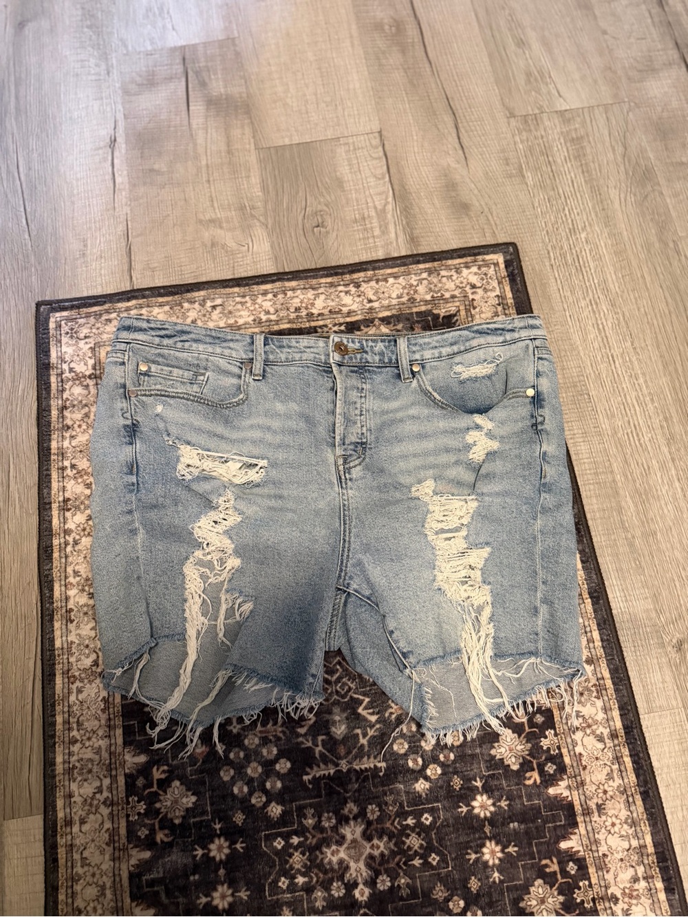 Torrid Sz.16